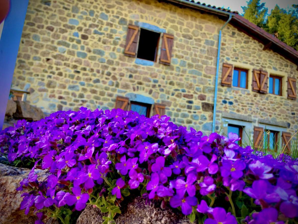 Grange De Sagne Maison Et Table D Hotes Avec Diner Sur Reservation Saint-Jean-Roure Ngoại thất bức ảnh